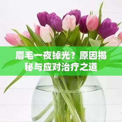 眉毛一夜掉光？原因揭秘與應(yīng)對(duì)治療之道