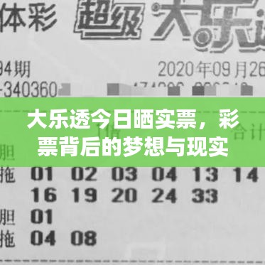 大樂透今日曬實(shí)票，彩票背后的夢想與現(xiàn)實(shí)揭秘