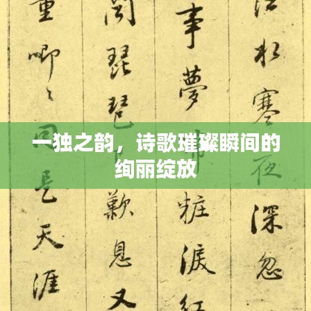 一獨之韻，詩歌璀璨瞬間的絢麗綻放