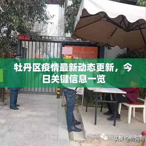 牡丹區(qū)疫情最新動(dòng)態(tài)更新，今日關(guān)鍵信息一覽