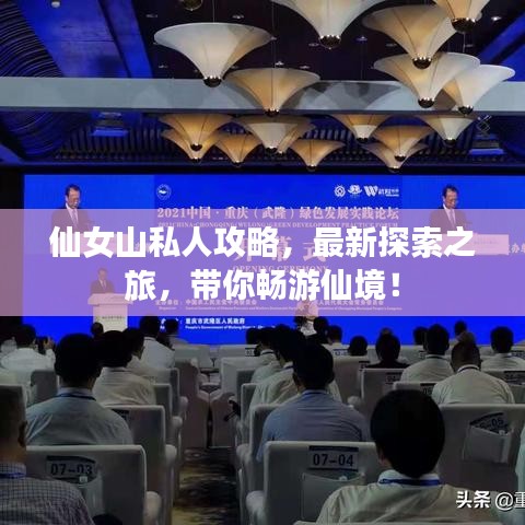 仙女山私人攻略，最新探索之旅，帶你暢游仙境！