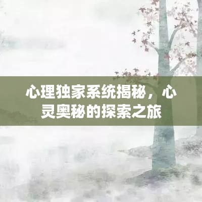 心理獨家系統(tǒng)揭秘，心靈奧秘的探索之旅