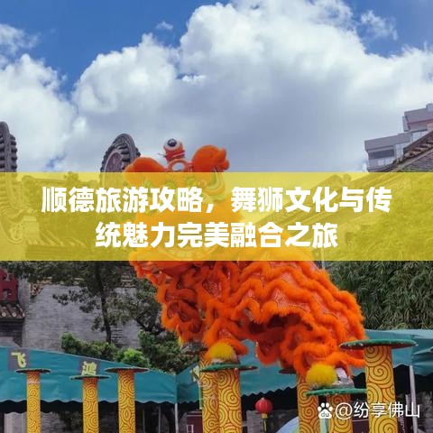 順德旅游攻略，舞獅文化與傳統(tǒng)魅力完美融合之旅