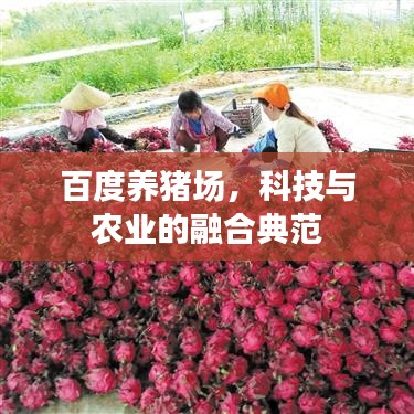百度養(yǎng)豬場(chǎng)，科技與農(nóng)業(yè)的融合典范