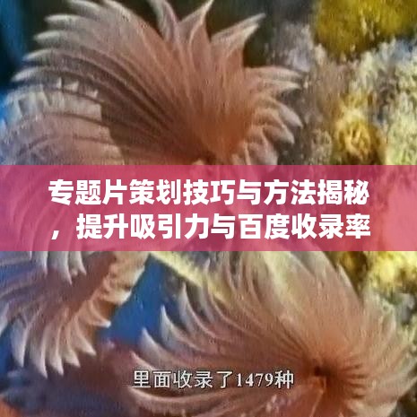 專題片策劃技巧與方法揭秘，提升吸引力與百度收錄率的關(guān)鍵秘籍！
