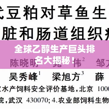 全球乙醇生產(chǎn)巨頭排名大揭秘！