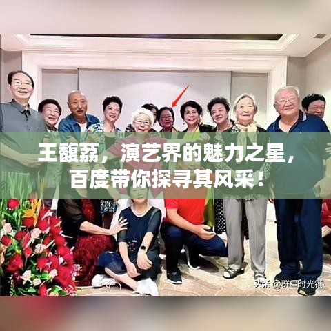 王馥荔，演藝界的魅力之星，百度帶你探尋其風(fēng)采！