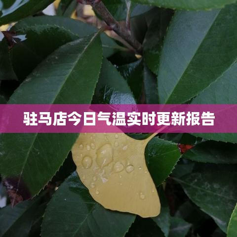 駐馬店今日氣溫實(shí)時(shí)更新報(bào)告