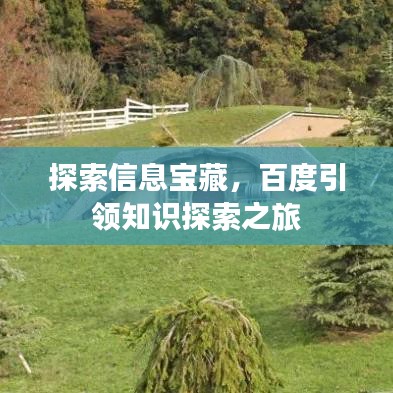 探索信息寶藏，百度引領(lǐng)知識探索之旅