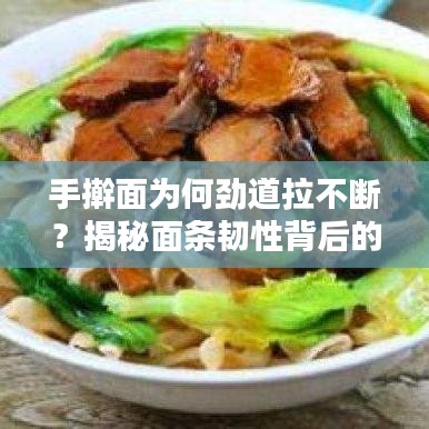 手搟面為何勁道拉不斷？揭秘面條韌性背后的秘密！