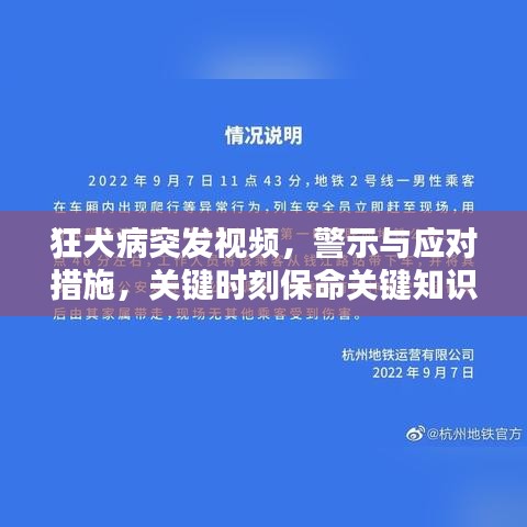 狂犬病突發(fā)視頻，警示與應(yīng)對措施，關(guān)鍵時(shí)刻保命關(guān)鍵知識！
