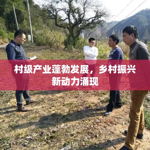 村級(jí)產(chǎn)業(yè)蓬勃發(fā)展，鄉(xiāng)村振興新動(dòng)力涌現(xiàn)