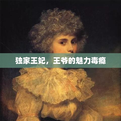 獨(dú)家王妃，王爺?shù)镊攘Χ景a