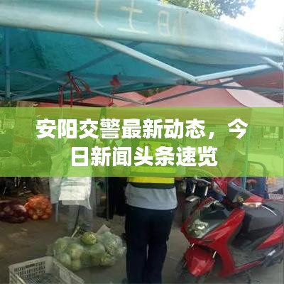 安陽交警最新動態(tài)，今日新聞頭條速覽