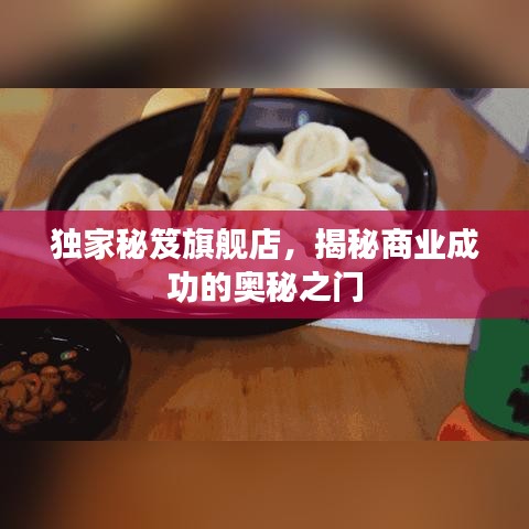 獨(dú)家秘笈旗艦店，揭秘商業(yè)成功的奧秘之門