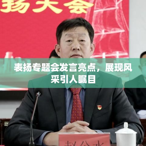 表揚(yáng)專題會(huì)發(fā)言亮點(diǎn)，展現(xiàn)風(fēng)采引人矚目