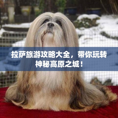 拉薩旅游攻略大全，帶你玩轉(zhuǎn)神秘高原之城！