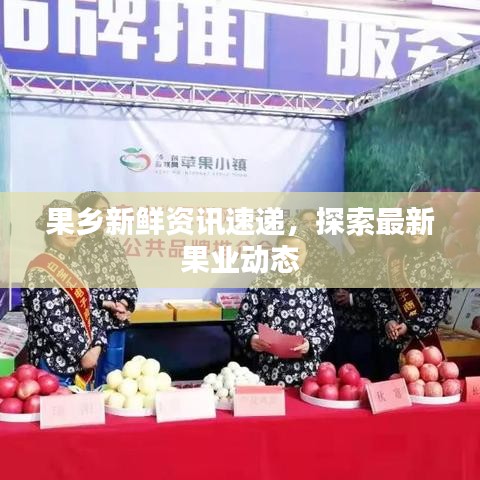 果鄉(xiāng)新鮮資訊速遞，探索最新果業(yè)動態(tài)