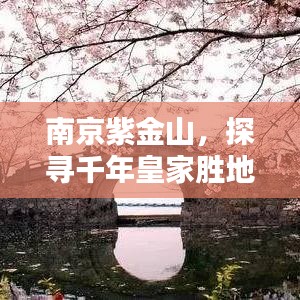 南京紫金山，探尋千年皇家勝地的魅力所在！