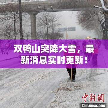 雙鴨山突降大雪，最新消息實時更新！