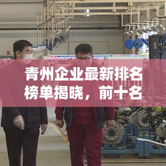 青州企業(yè)最新排名榜單揭曉，前十名企業(yè)大放異彩！