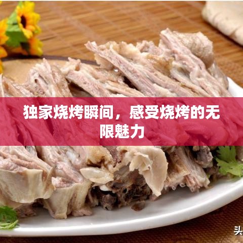 獨(dú)家燒烤瞬間，感受燒烤的無(wú)限魅力