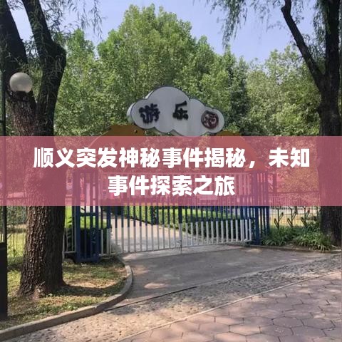 順義突發(fā)神秘事件揭秘，未知事件探索之旅
