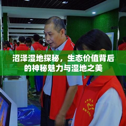 沼澤濕地探秘，生態(tài)價值背后的神秘魅力與濕地之美
