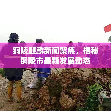 銅陵麒麟新聞聚焦，揭秘銅陵市最新發(fā)展動態(tài)