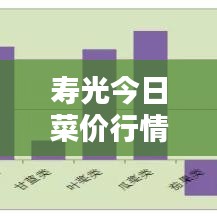 壽光今日菜價行情更新，最新消息一覽