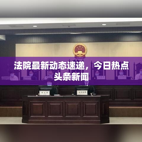 法院最新動(dòng)態(tài)速遞，今日熱點(diǎn)頭條新聞