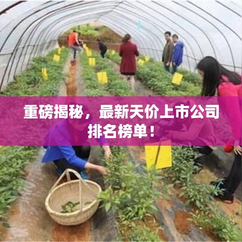 重磅揭秘，最新天價(jià)上市公司排名榜單！