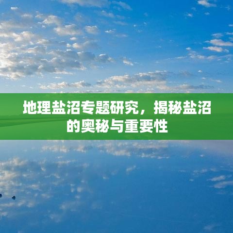 地理鹽沼專題研究，揭秘鹽沼的奧秘與重要性