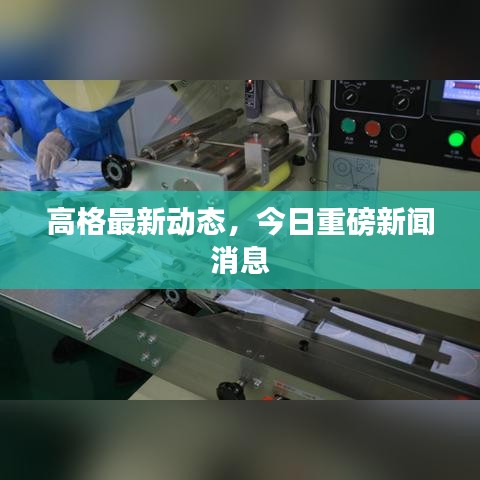 高格最新動態(tài)，今日重磅新聞消息