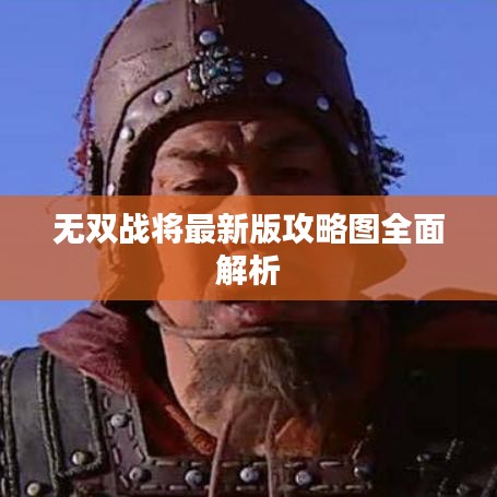 無(wú)雙戰(zhàn)將最新版攻略圖全面解析