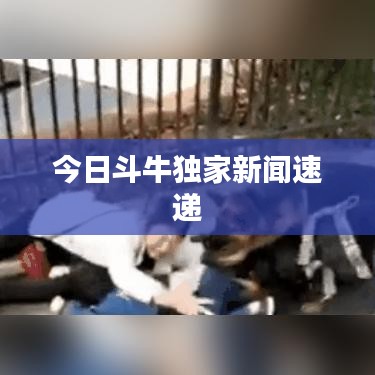 見仁見智 第2頁