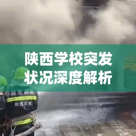 陜西學校突發(fā)狀況深度解析
