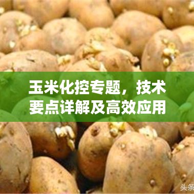 玉米化控專題，技術(shù)要點(diǎn)詳解及高效應(yīng)用策略實(shí)戰(zhàn)分享