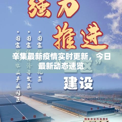 辛集最新疫情實(shí)時(shí)更新，今日最新動(dòng)態(tài)速覽