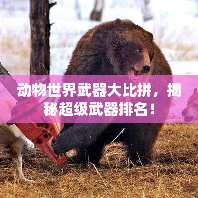 動物世界武器大比拼，揭秘超級武器排名！