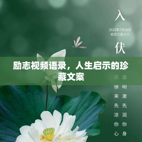 勵(lì)志視頻語(yǔ)錄，人生啟示的珍藏文案