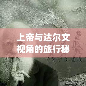 上帝與達爾文視角的旅行秘籍，揭秘最佳旅游指南！