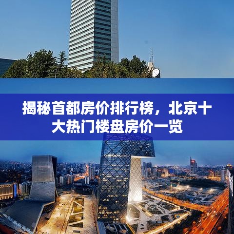 如鳥(niǎo)獸散