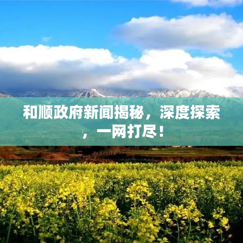 和順政府新聞揭秘，深度探索，一網(wǎng)打盡！