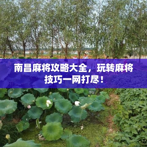 南昌麻將攻略大全，玩轉(zhuǎn)麻將技巧一網(wǎng)打盡！