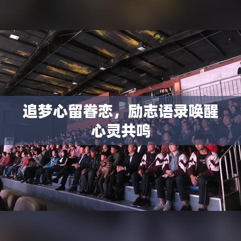 追夢(mèng)心留眷戀，勵(lì)志語錄喚醒心靈共鳴