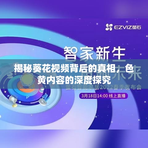 揭秘葵花視頻背后的真相，色黃內(nèi)容的深度探究