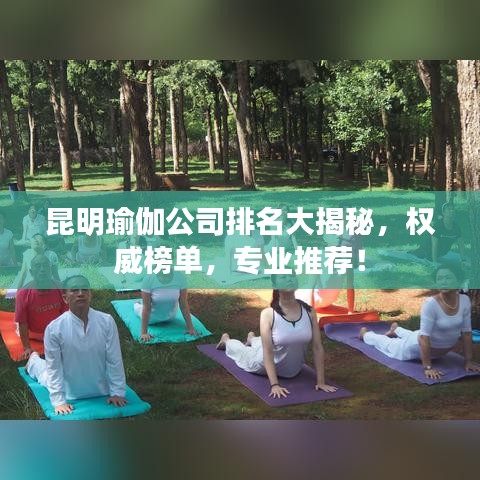 昆明瑜伽公司排名大揭秘，權威榜單，專業(yè)推薦！