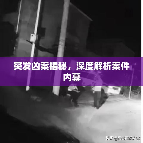突發(fā)兇案揭秘，深度解析案件內(nèi)幕