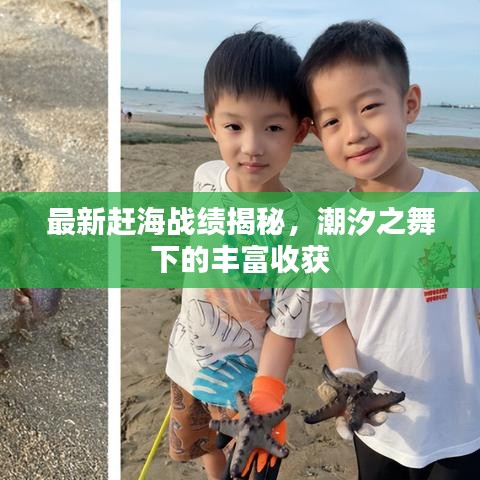 最新趕海戰(zhàn)績揭秘，潮汐之舞下的豐富收獲
